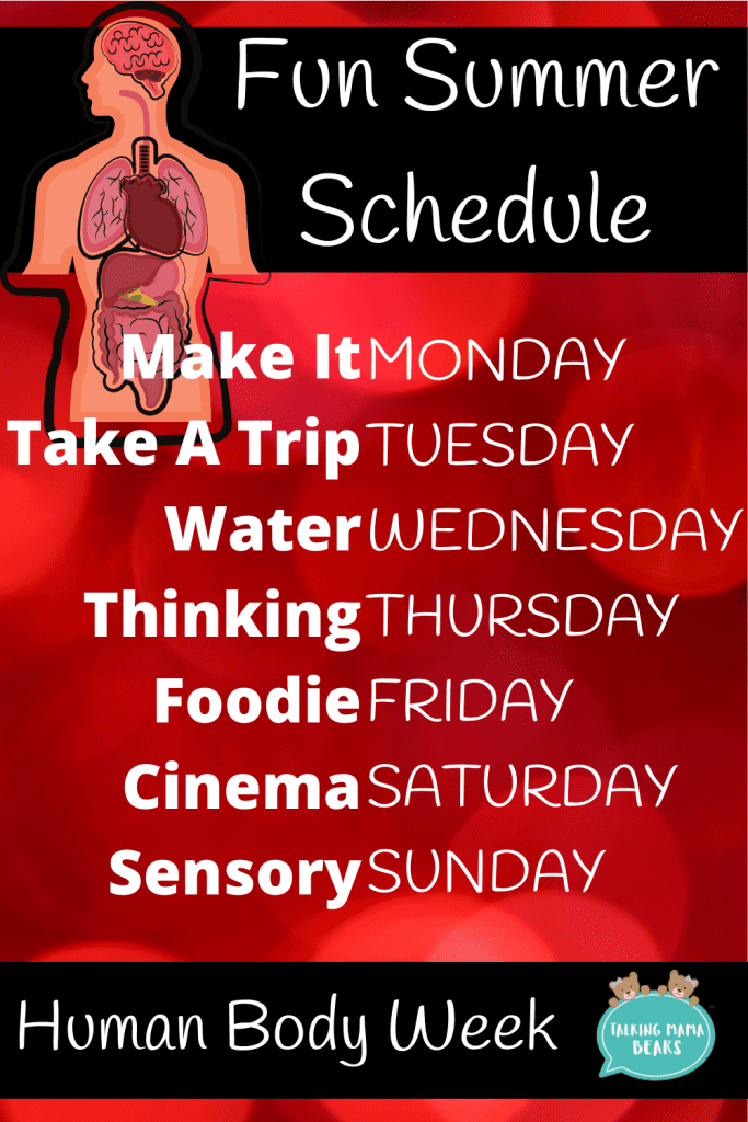 fun summer schedule for human body week