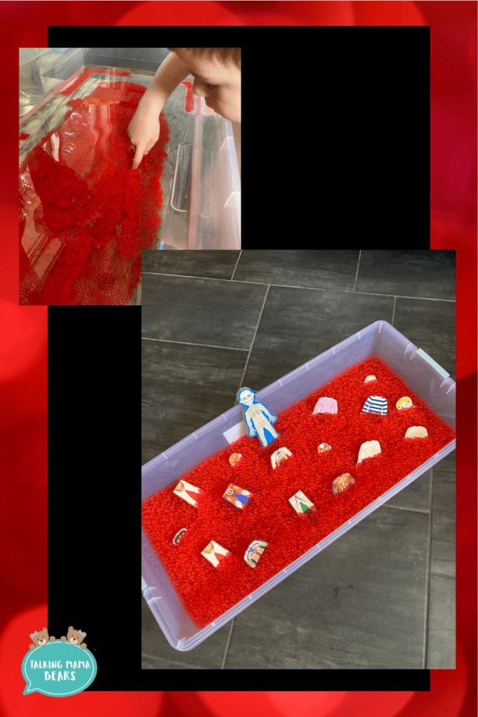 red water bead sensory bin with puzzle piece organs for sensory sunday human body week