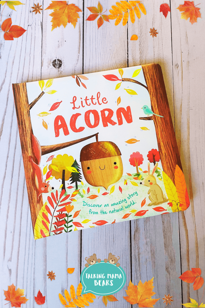Little Acorn fall book for speech and language therapy